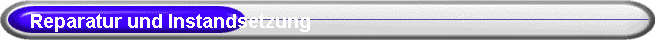 Reparatur und Instandsetzung